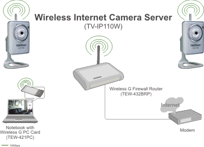 TV-IP110W
